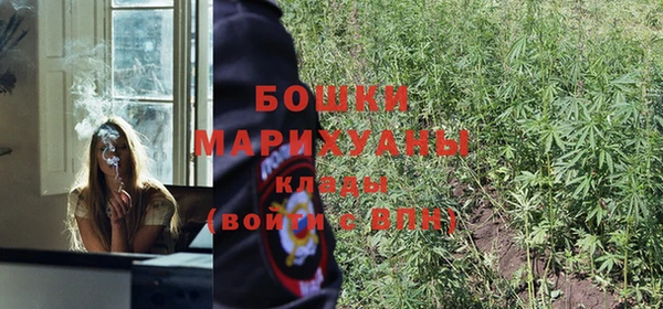 хмурый Майский