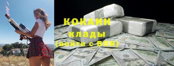 гидра Магас